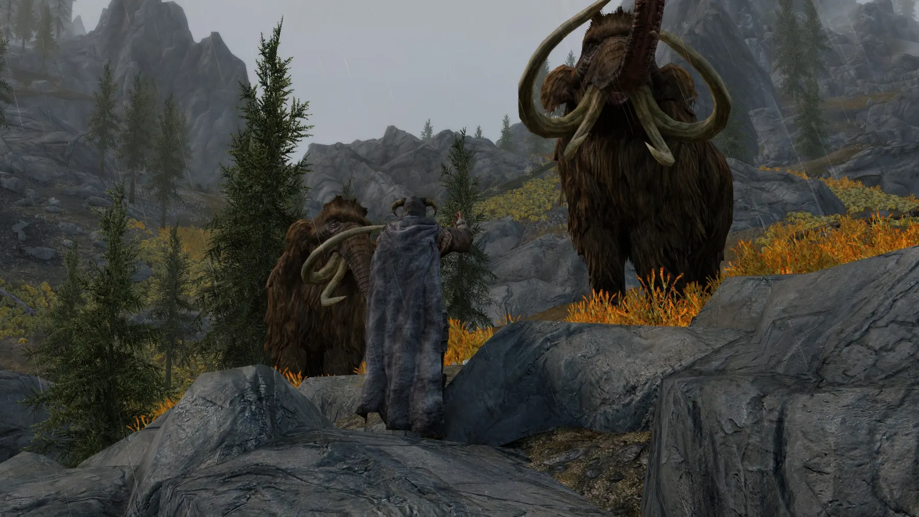 Giants on the road