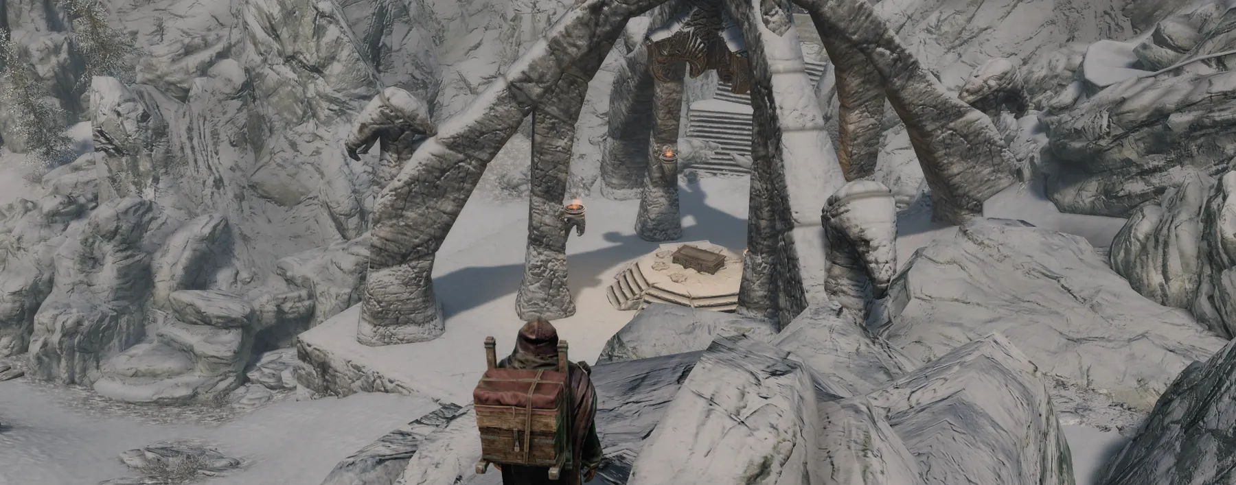 Old bones in the snow