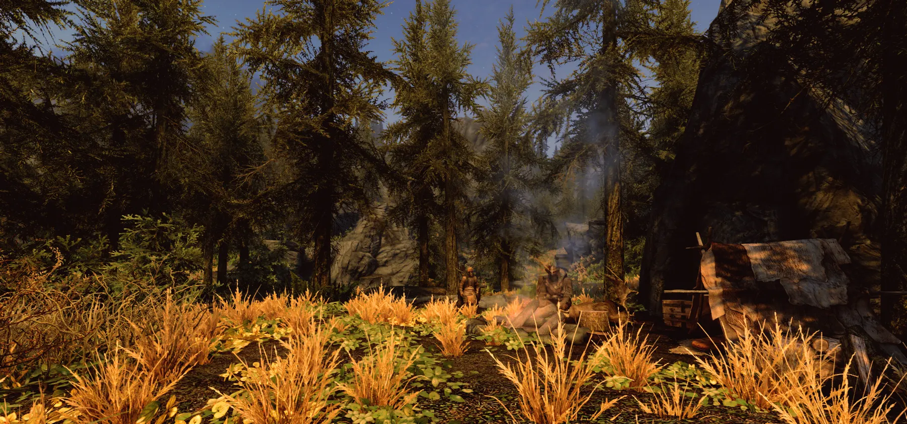 A camp in the woods